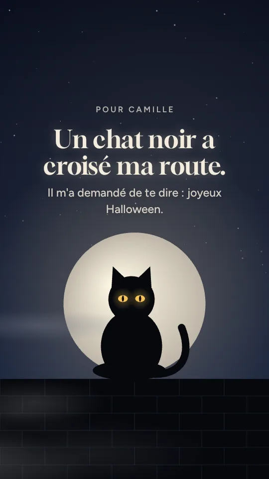 Style de story Chat noir, avec le prénom Camille